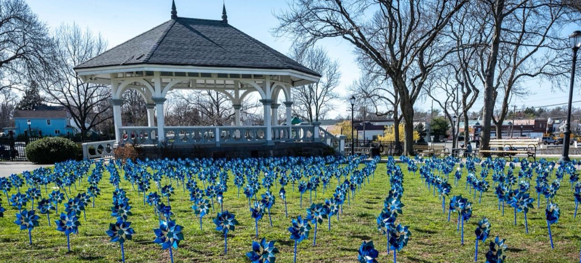 Kyra's Champions planted 763 pinwheels in Mary Jane Davies Park to signify a child in the family court system killed by a parent.